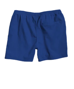 Blueberry Dyed Crazyshorts® Twill Shorts -Crazy Shirts Sale Store 2013520 1A