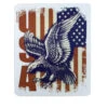 Eagle Flag - Sticker