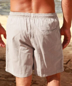 Stone Crazyshorts® Twill Shorts -Crazy Shirts Sale Store e72ac4264556efcb1d37ee9a7b5687a5